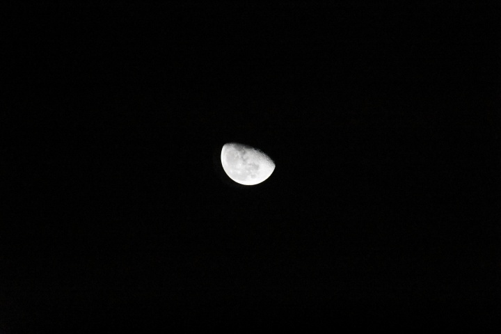 DSC_0817