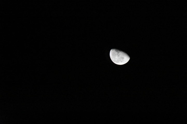 DSC_0818