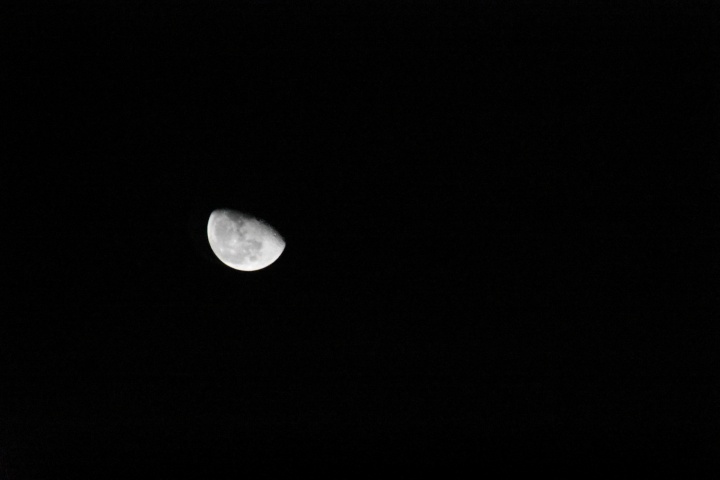 DSC_0819