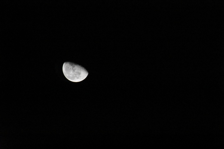 DSC_0821