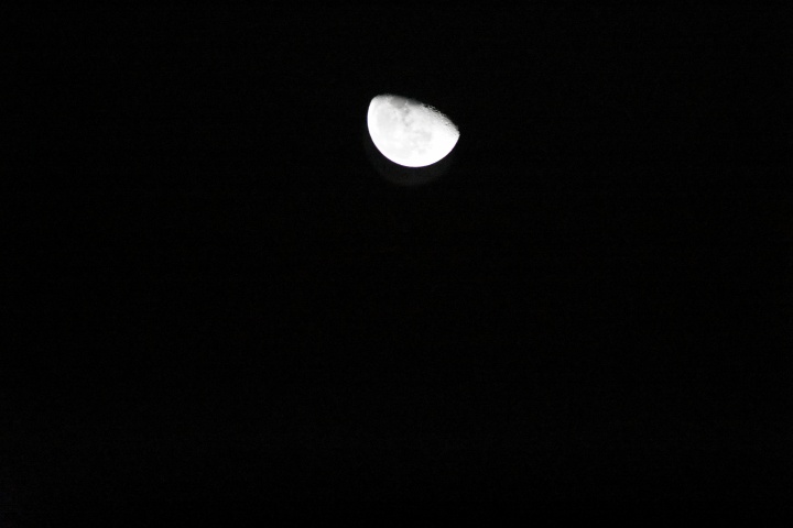 DSC_0822