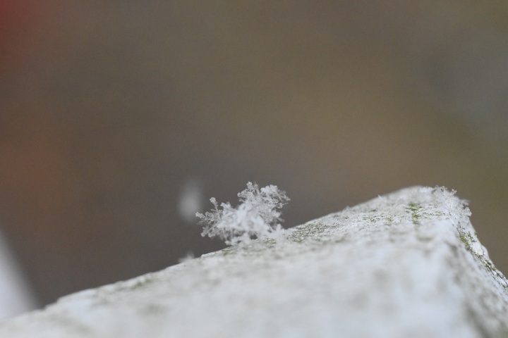 DSC_0905