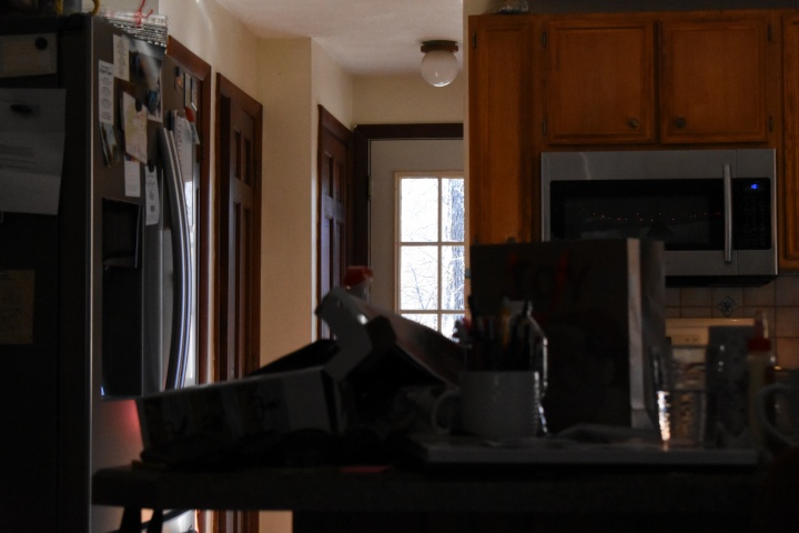 DSC_1000