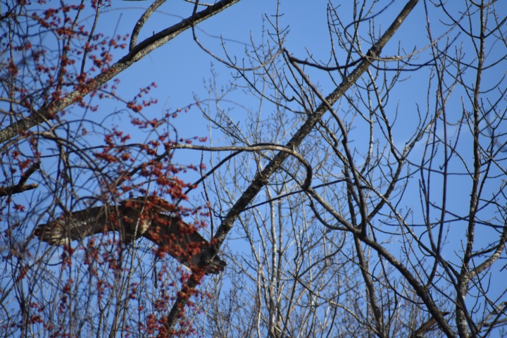 DSC_1057