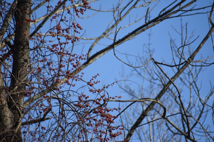 DSC_1058