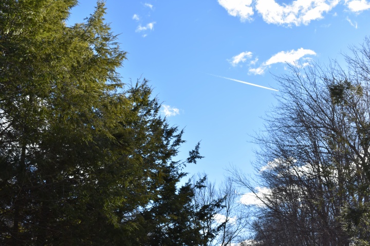 DSC_0049