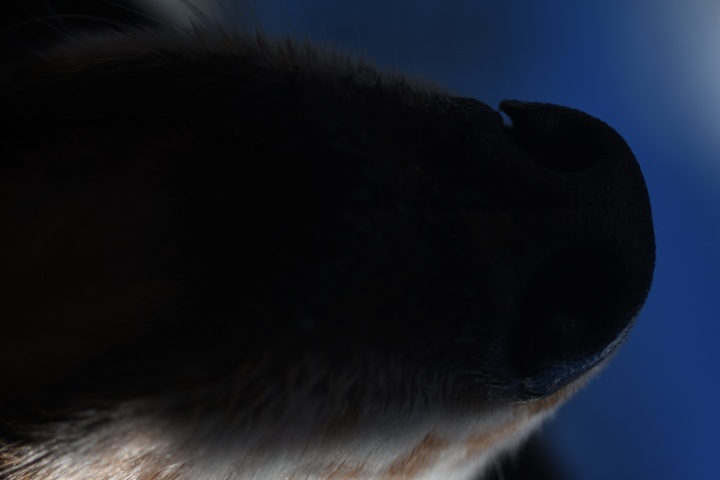 DSC_0067
