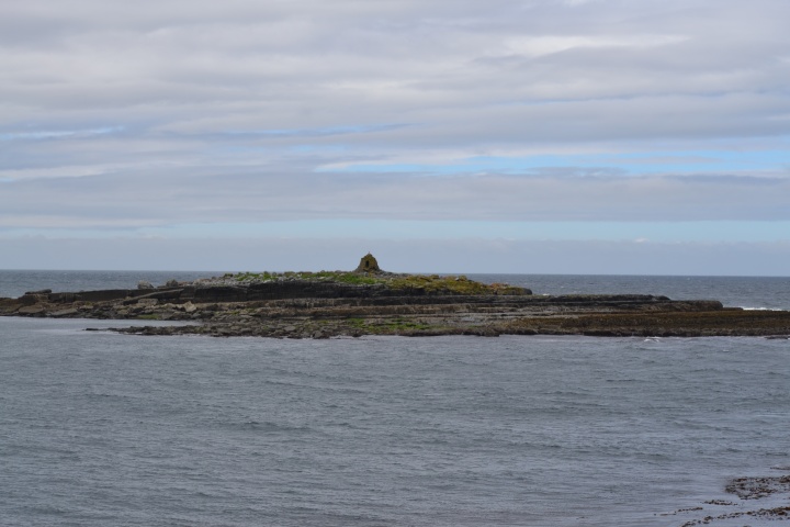 DSC_0767
