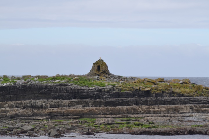 DSC_0768