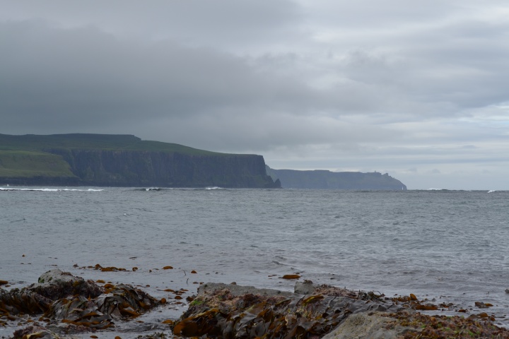 DSC_0770
