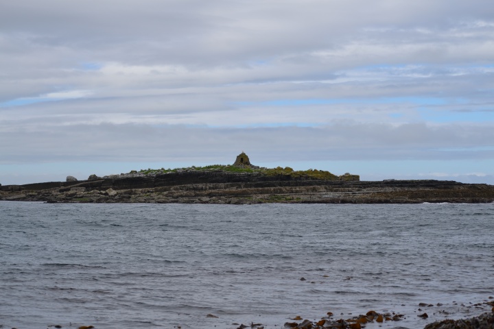 DSC_0772