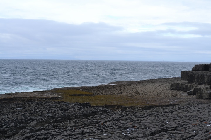 DSC_0775