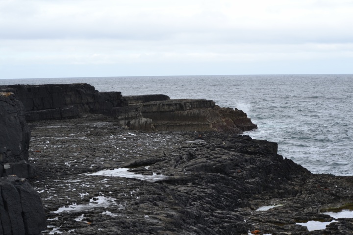 DSC_0776