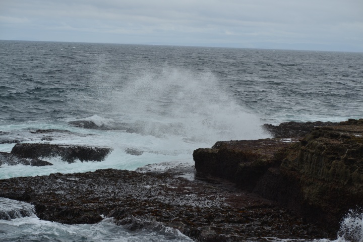 DSC_0782