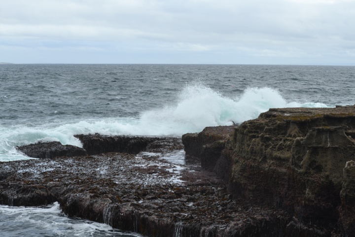 DSC_0784
