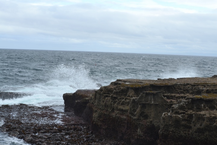 DSC_0786