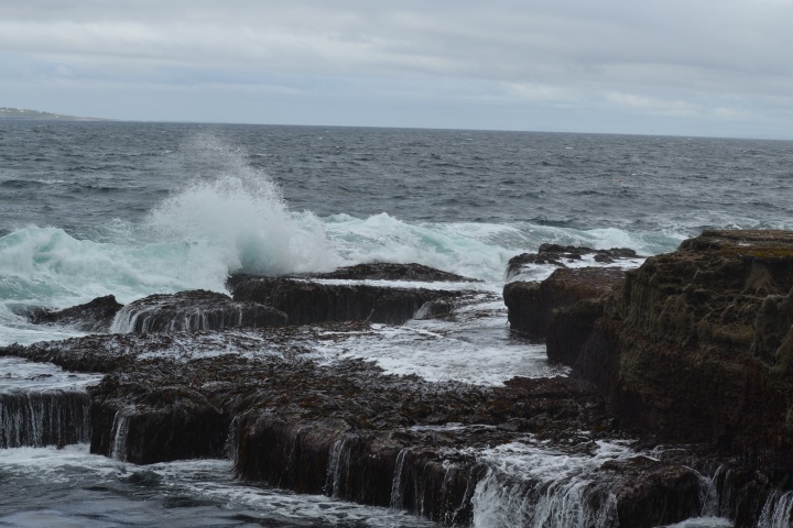 DSC_0790