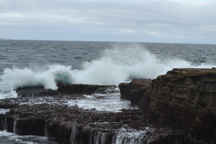 DSC_0792