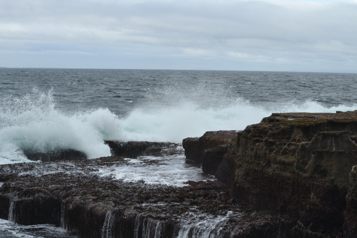 DSC_0793