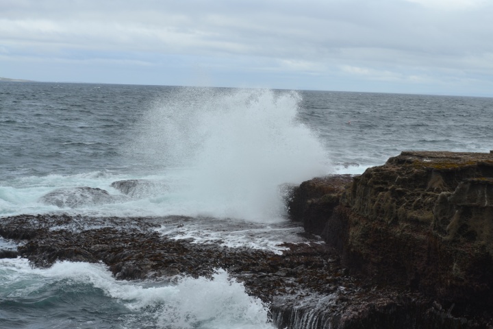 DSC_0795