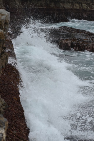 DSC_0798