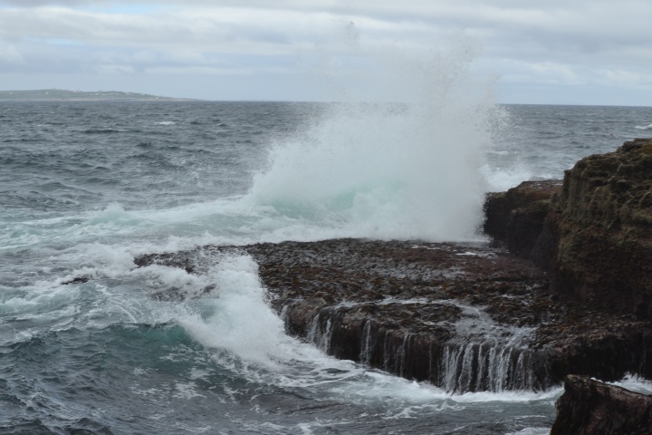 DSC_0800