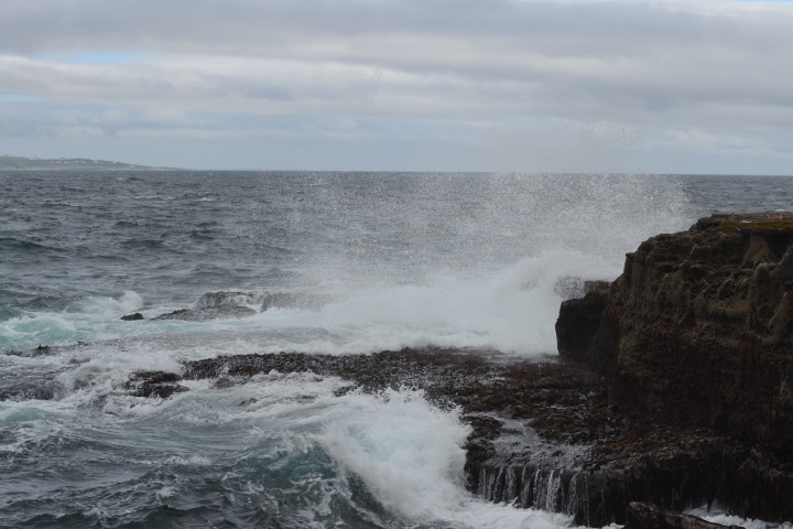 DSC_0801