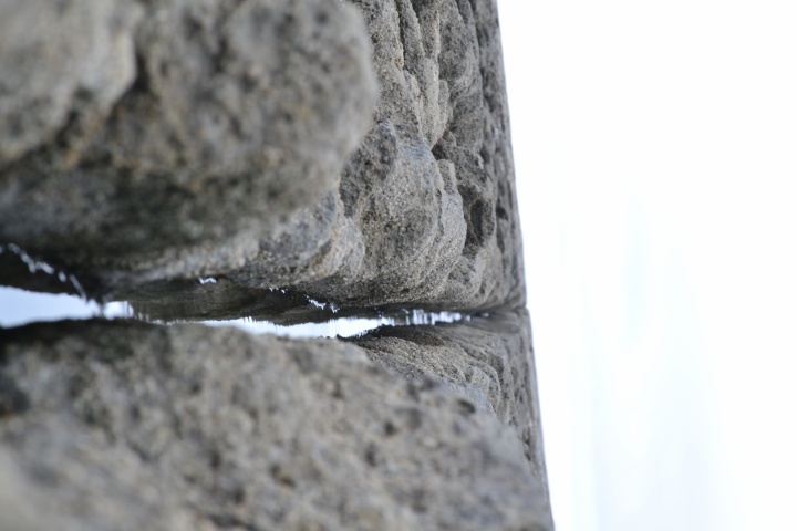 DSC_0815