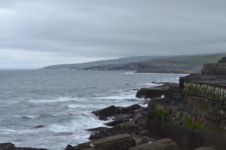 DSC_0817