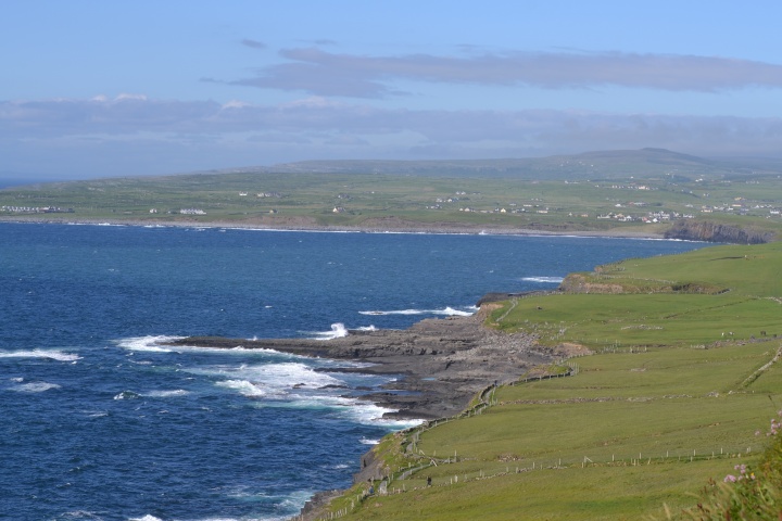 DSC_0831