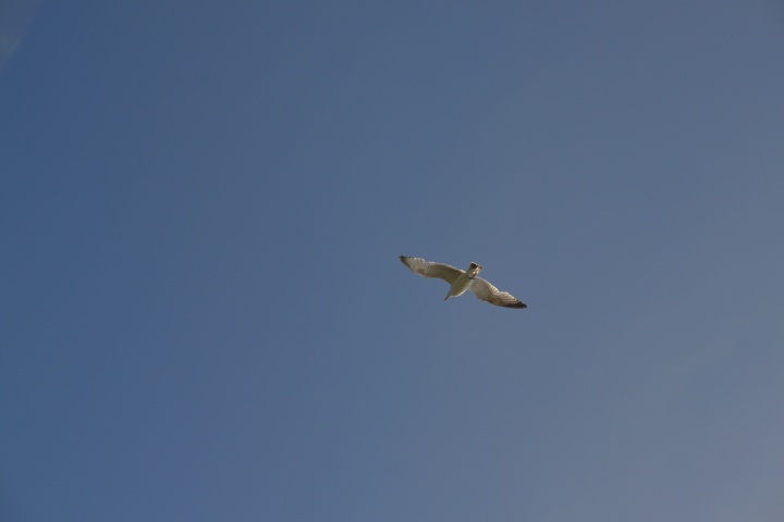 DSC_0841