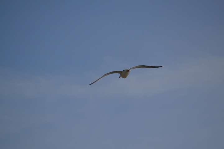 DSC_0846