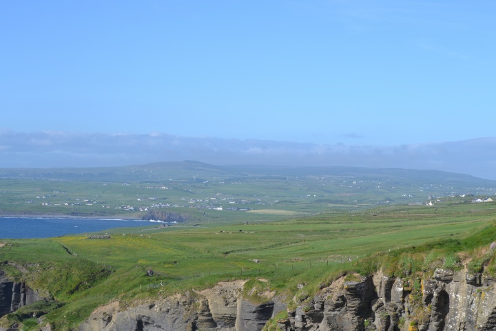 DSC_0860