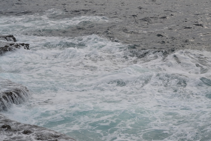 DSC_0864