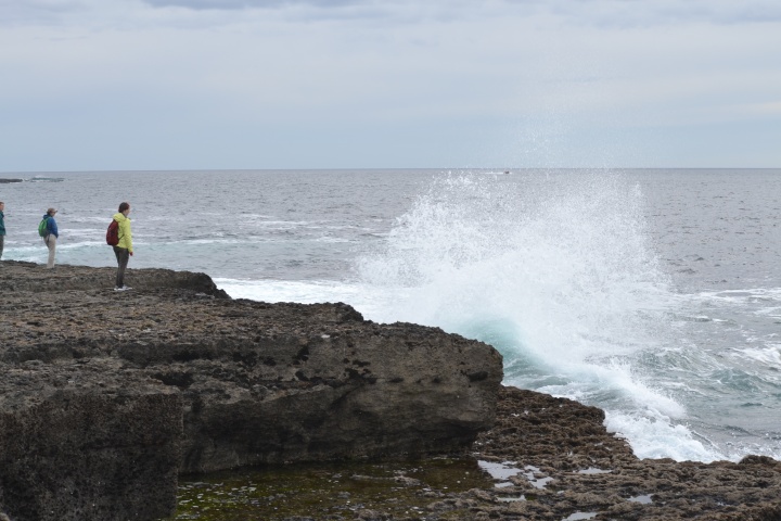 DSC_0875