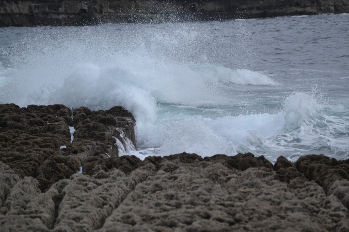 DSC_0878