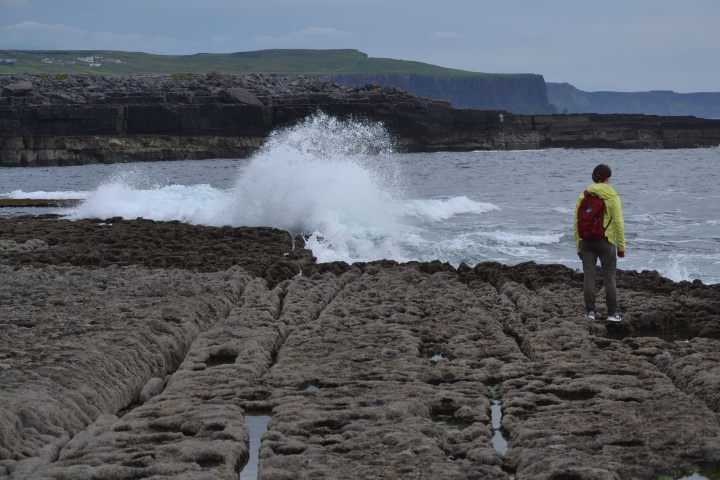 DSC_0879