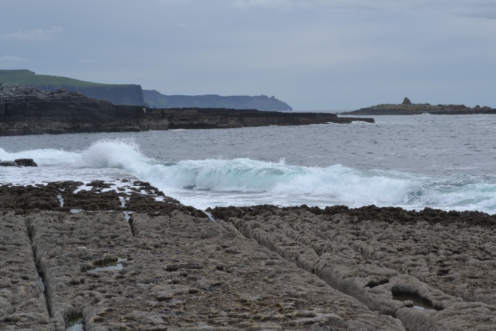 DSC_0882