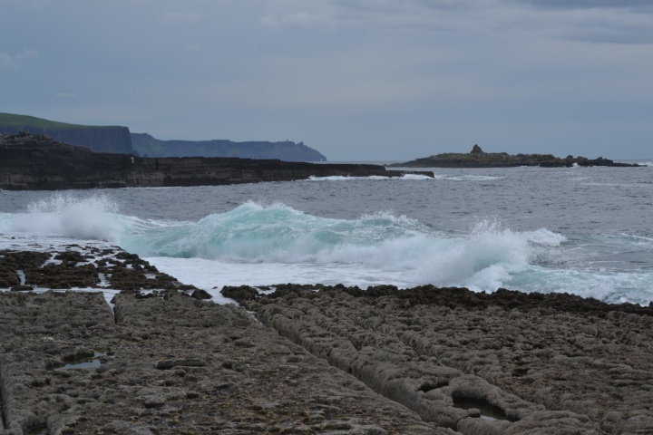 DSC_0885