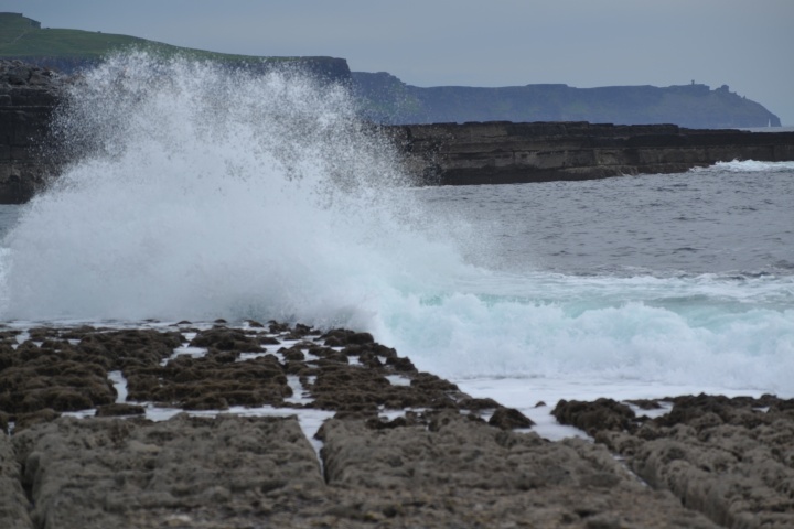 DSC_0886