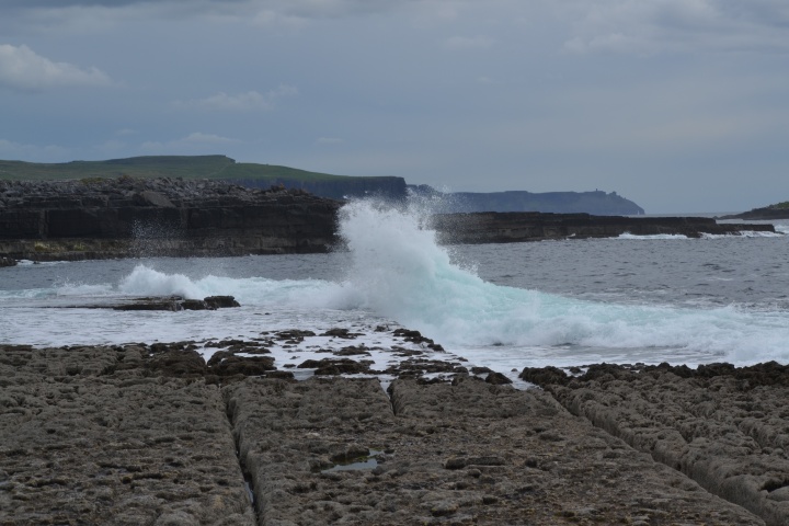 DSC_0887