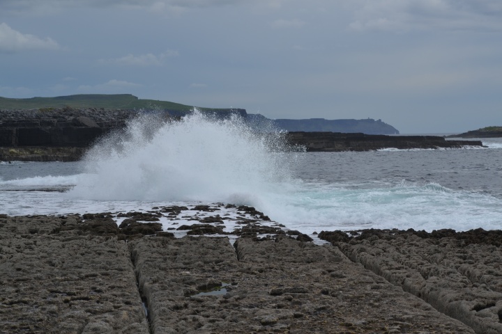 DSC_0888