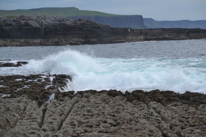 DSC_0889