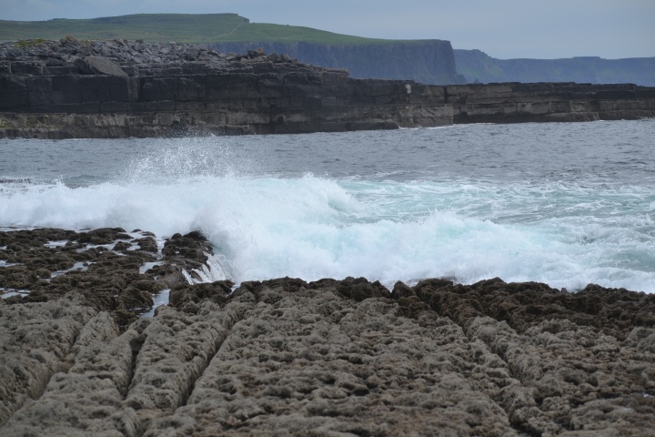 DSC_0890