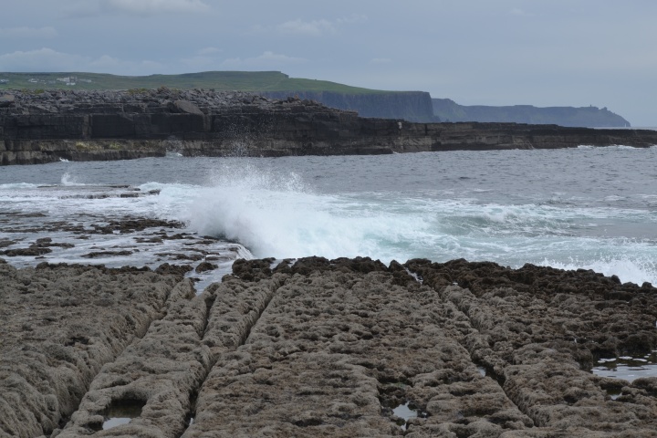 DSC_0891