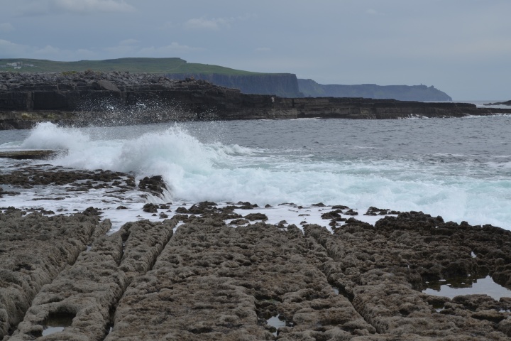 DSC_0893
