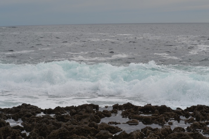 DSC_0896