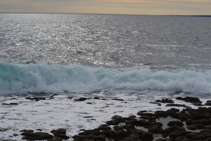 DSC_0898