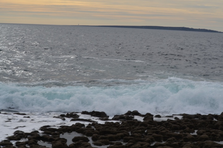 DSC_0899