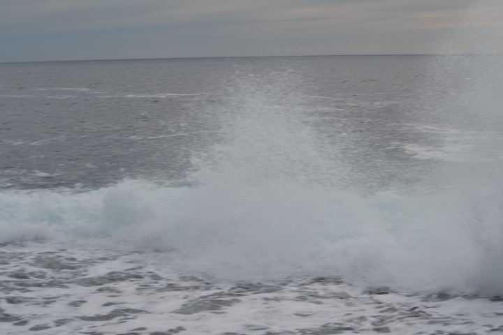 DSC_0901